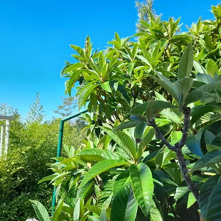 Appartement With Parking Space Brela, Makarska - 18417 Brela