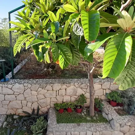 Apartment With A Parking Space Brela, Makarska - 18417 *